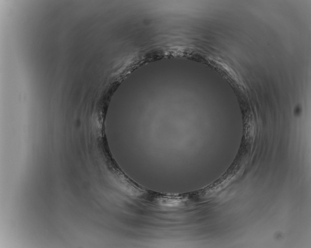 X0000095520661200712211304