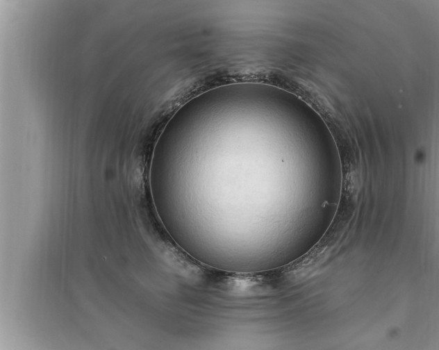 X0000095520662200712211304