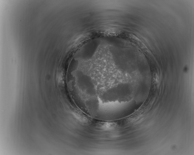 X0000095520663200712211304