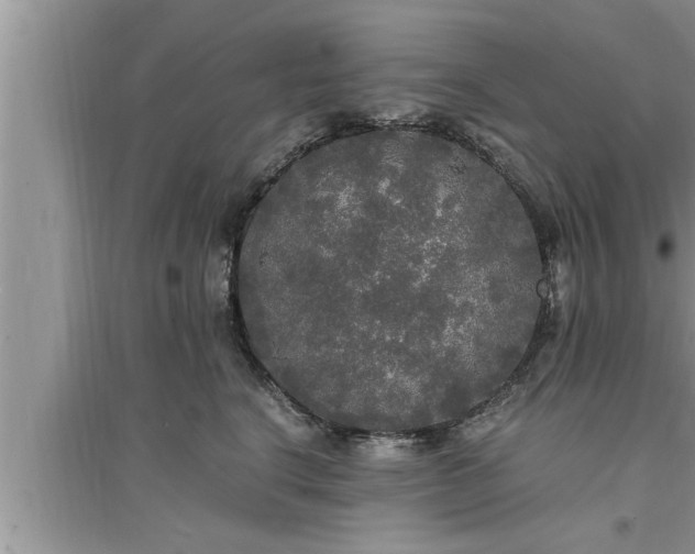 X0000095520664200712211304