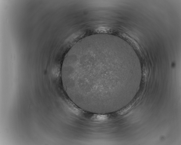 X0000095520665200712211304