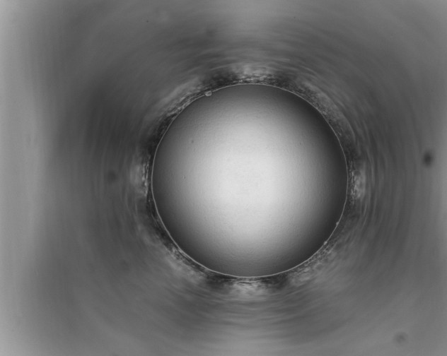 X0000095520666200712211304