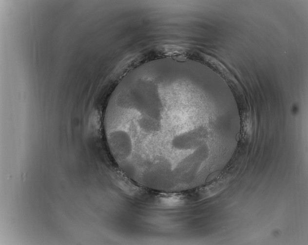 X0000095520667200712211304