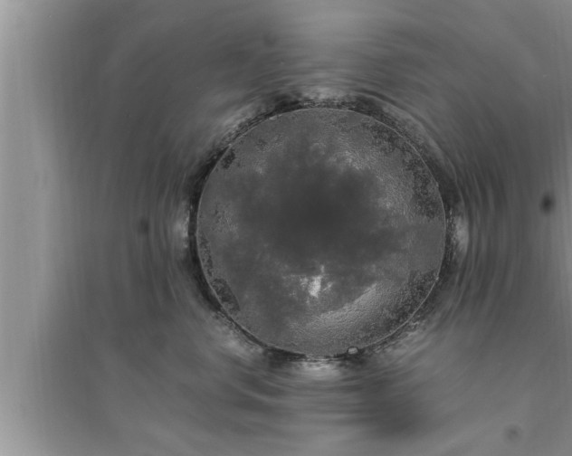 X0000095520668200712211304