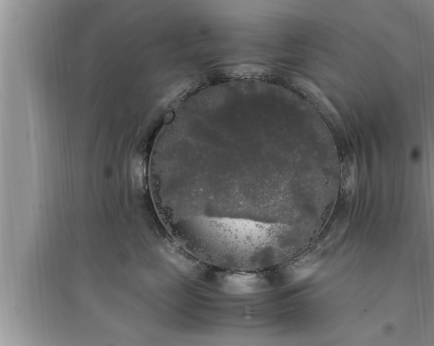 X0000095520669200712211304