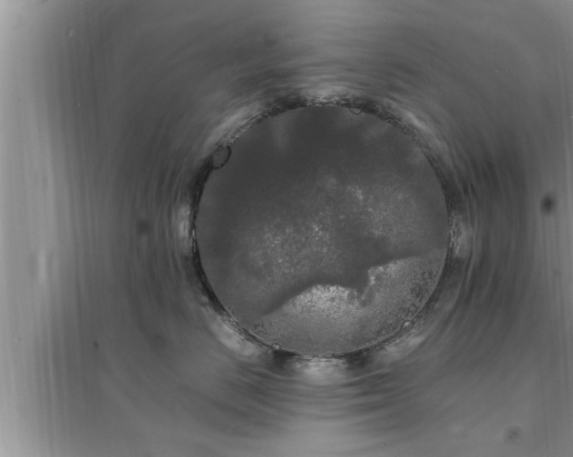 X0000095520670200712211304