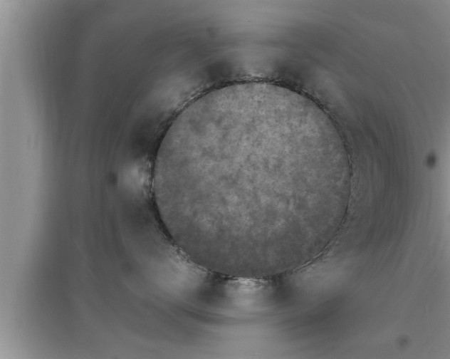 X0000095520672200712211304