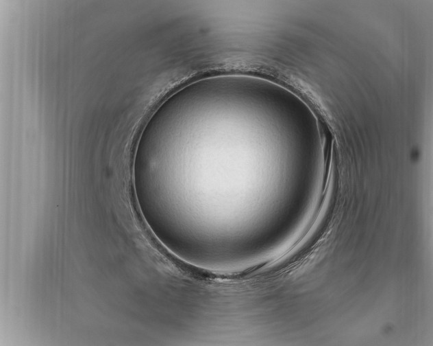 X0000095520673200712211303