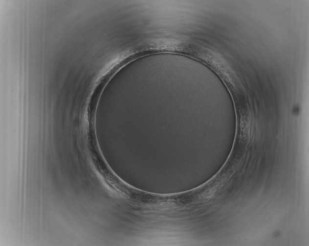 X0000095520674200712211303