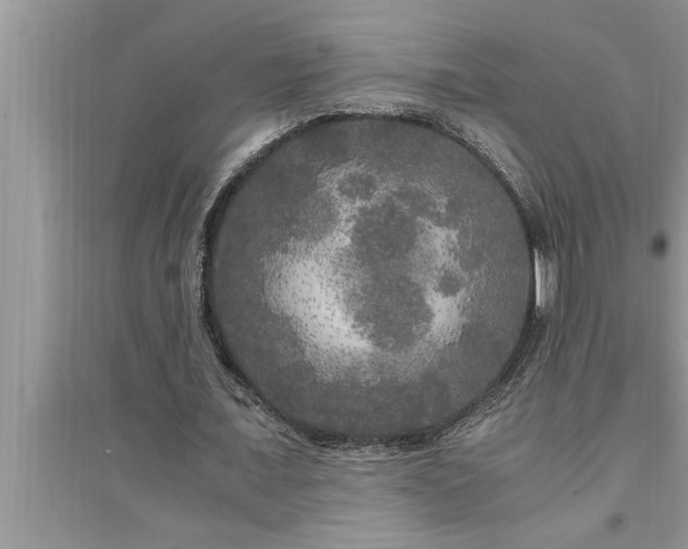 X0000095520675200712211303