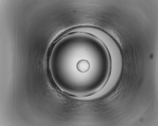 X0000095520676200712211303