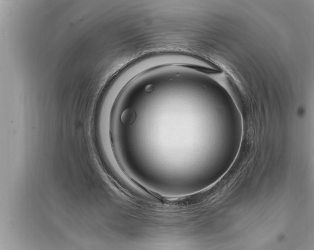 X0000095520677200712211303