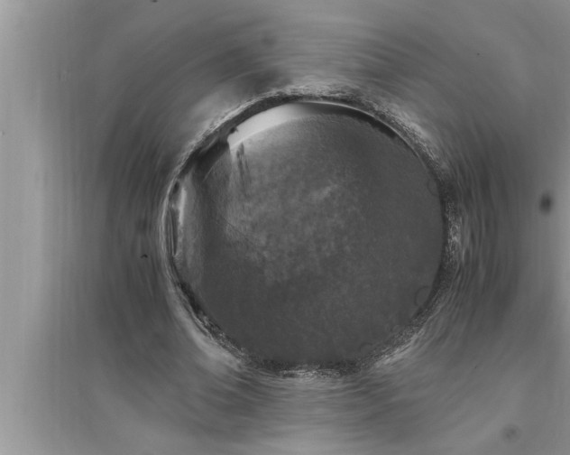 X0000095520678200712211303