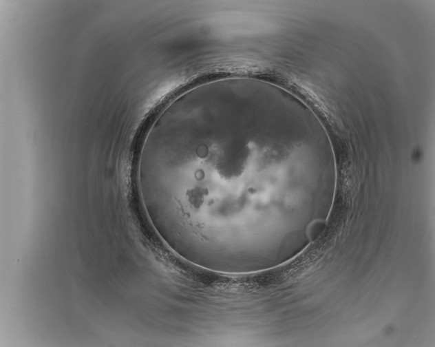 X0000095520679200712211303