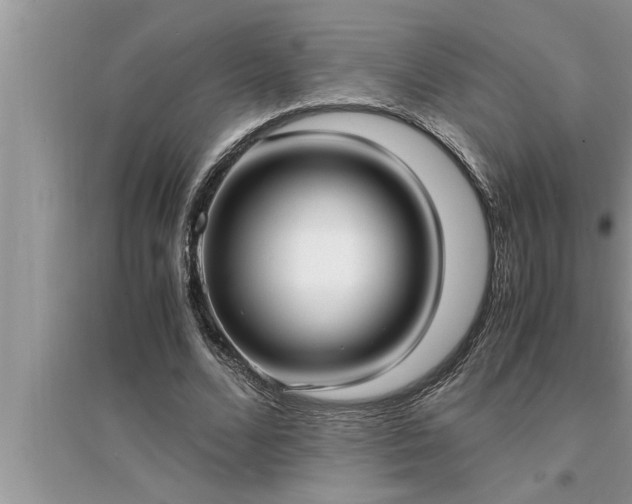 X0000095520680200712211303