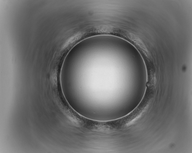 X0000095520681200712211303