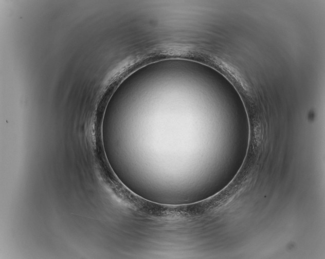 X0000095520682200712211303