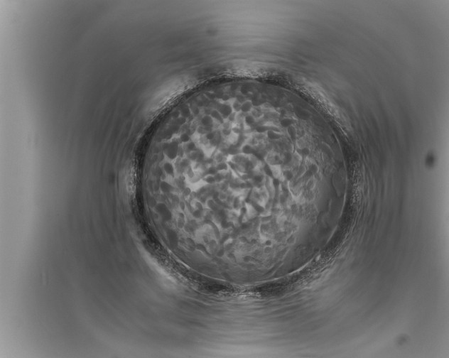 X0000095520683200712211303