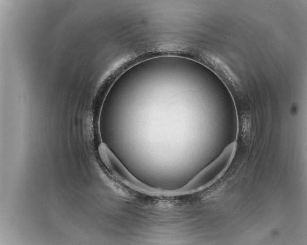 X0000095520684200712211303