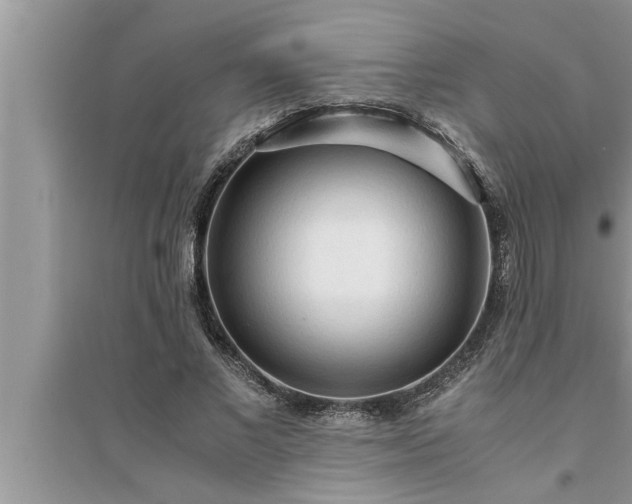 X0000095520685200712211303