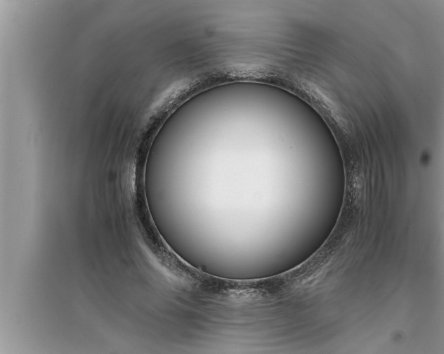 X0000095520686200712211303