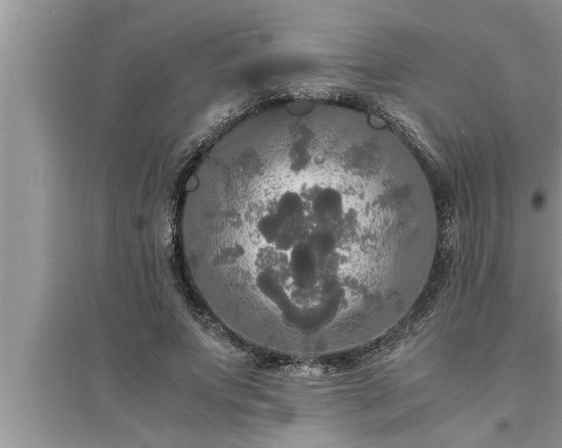 X0000095520687200712211303