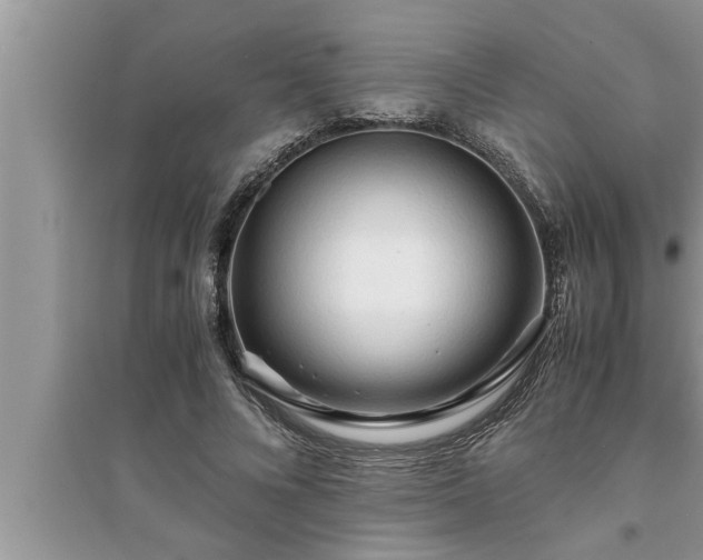 X0000095520688200712211303