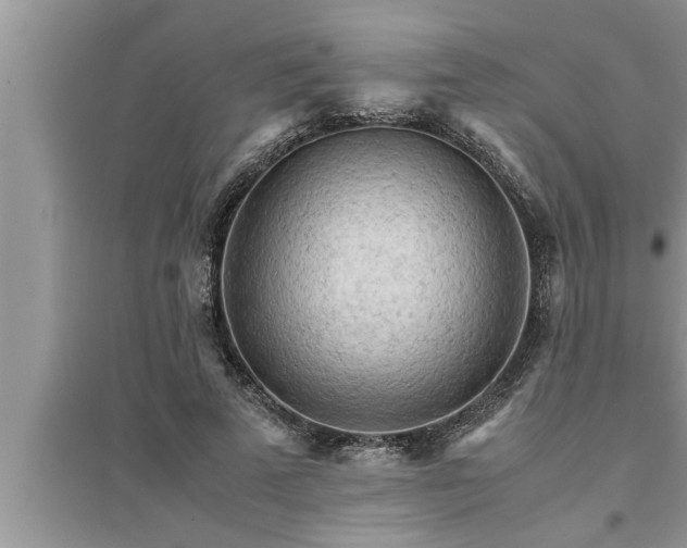 X0000095520689200712211303