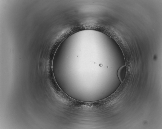 X0000095520690200712211303