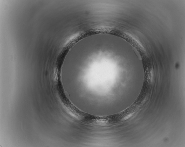 X0000095520692200712211303