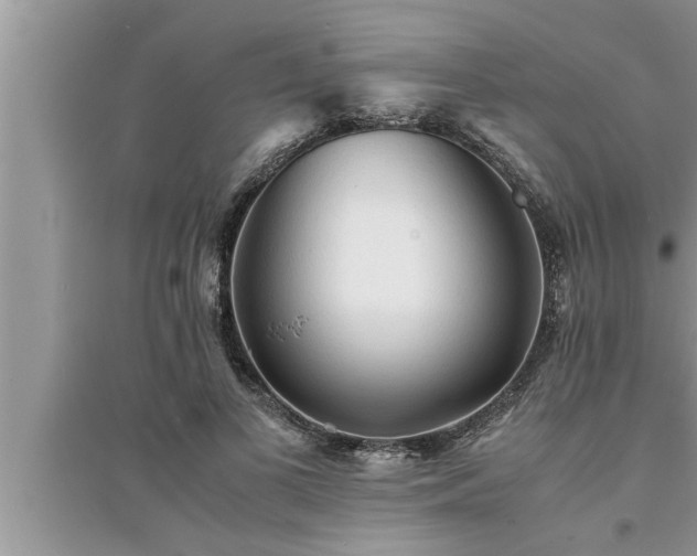 X0000095520693200712211303