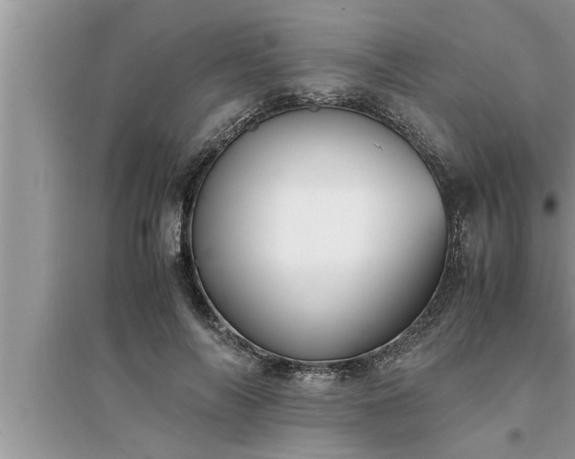 X0000095520694200712211303