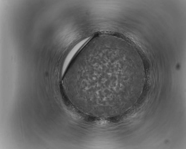 X0000095520695200712211303