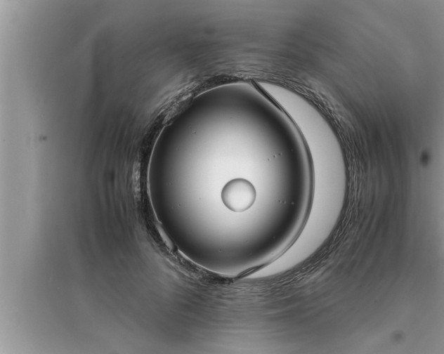 X0000095520696200712211303