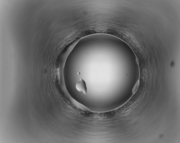 X0000095520697200712211303