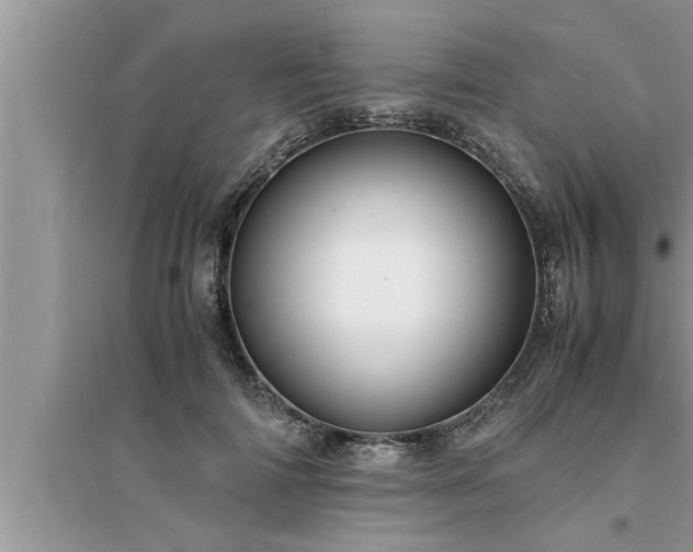 X0000095520698200712211303