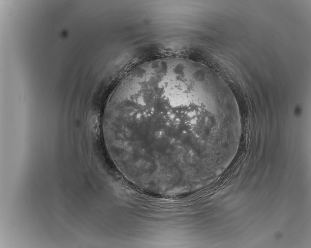 X0000095520699200712211303