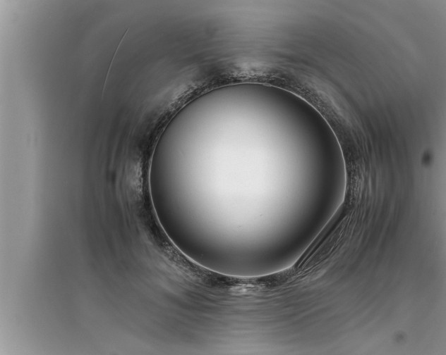 X0000095520700200712211303