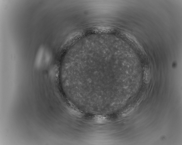 X0000095520701200712211303