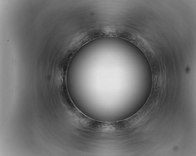 X0000095520702200712211303