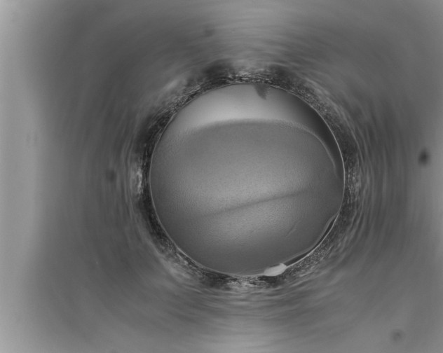 X0000095520703200712211303