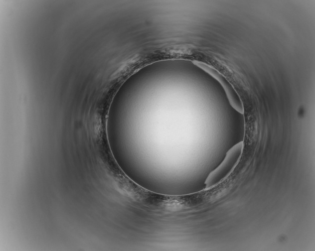 X0000095520704200712211303