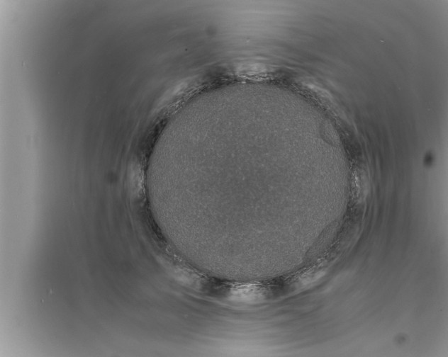 X0000095520705200712211303