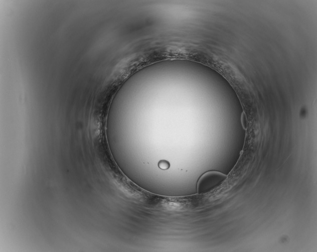 X0000095520706200712211303