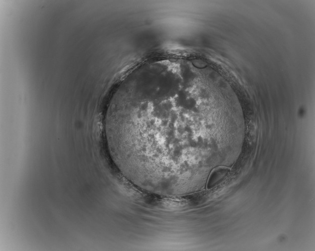 X0000095520707200712211303