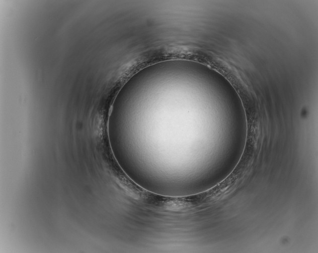 X0000095520708200712211303