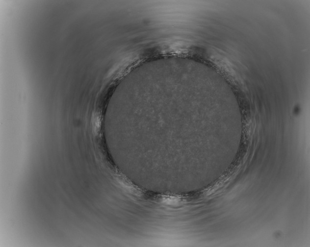 X0000095520709200712211303