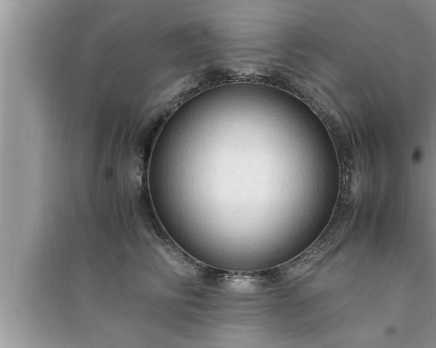 X0000095520710200712211303