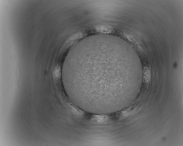 X0000095520713200712211303