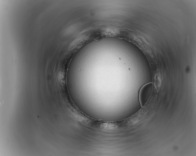 X0000095520714200712211303